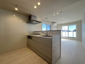 アーク・アムール　ヴィラ 301号-2