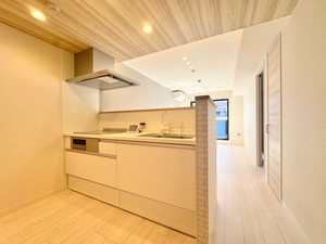 メゾン・フォンターナ 302号-11