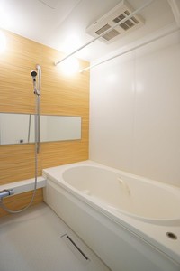 ウィズプラス浦和美園　イースト　Ｂ棟 203号-9