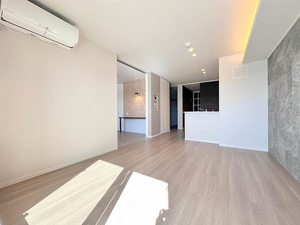 アイアール　フェリス 303号-2