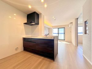 アイアール　フェリス 303号-3