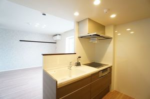 リュミエール南浦和 303号-2