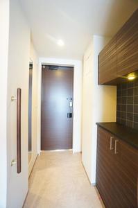 リュミエール南浦和 303号-11