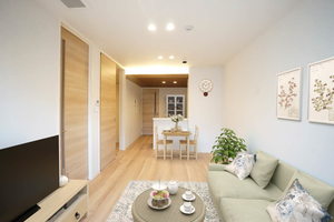 インディゴ　チャハ虹 105号-2