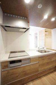 インディゴ　チャハ虹 105号-6