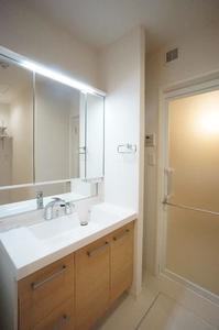 インディゴ　チャハ虹 105号-9