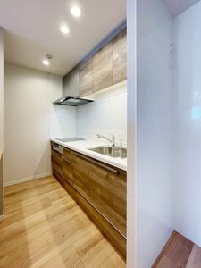 ディオスプロス 301号-4