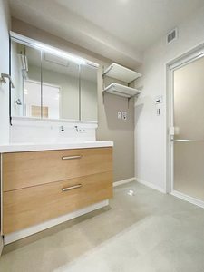 ディオスプロス 301号-5