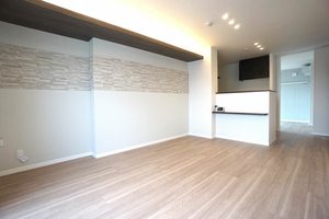 アピオン 205号-2