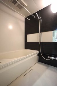 アピオン 205号-6