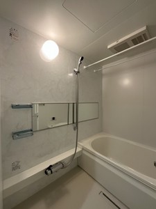 ジョイアスガード浦和美園 302号-8