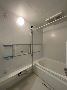 ジョイアスガード浦和美園 402号-8