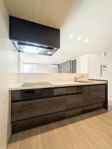 レゾンクレール 201号-8