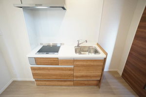 シャーメゾンステージ武蔵浦和 210号-4