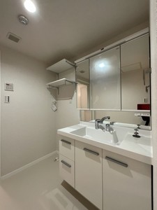 リリーフィア 101号-7