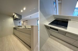 リリーフィア 103号-5