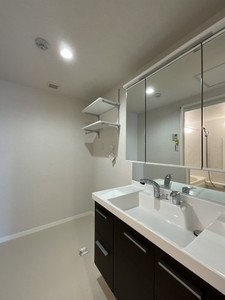 リリーフィア 103号-8