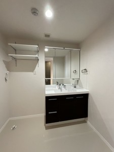 リリーフィア 202号-7