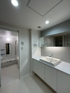 リリーフィア 303号-7