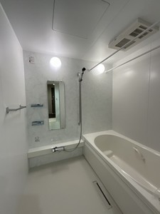 リリーフィア 303号-8