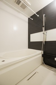 クリザンテム Ⅱ 203号-11