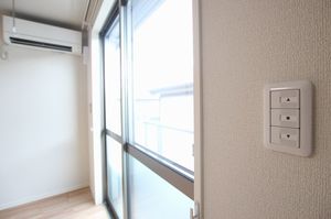 ピュア・ウインドⅡ 202号-10