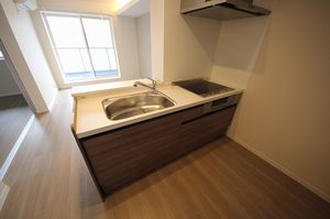 レオナ イースト 303号-6