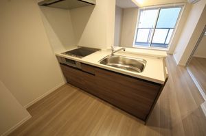 レオナ イースト 306号-6