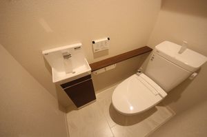 レオナ イースト 306号-8