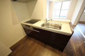 レオナ　イースト 406号-7