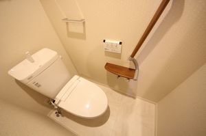 プルミエール 203号-10