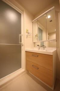 ソラーレふじみ野 303号-9