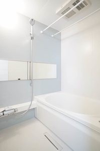 サティス・ヴィータ 302号-8