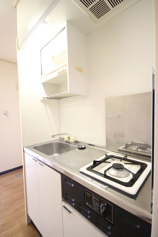 エクセルフラット　武里 305号-8