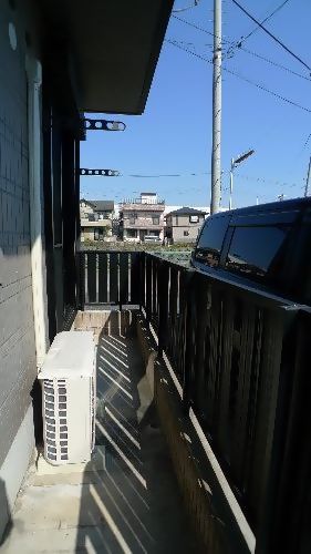 リバーサイド　青木 101号-11
