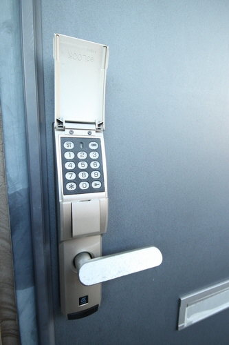 その他画像13