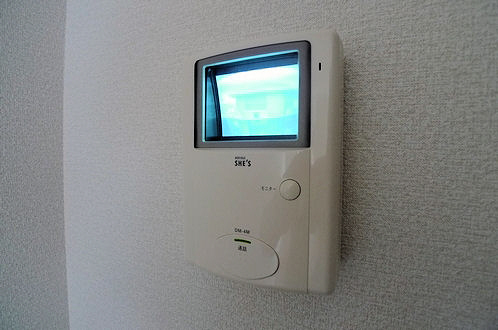 BlueRose B 202号-7