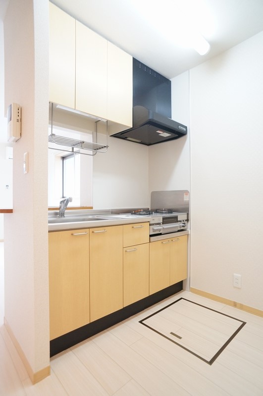 スーベニアⅥ 101号-3