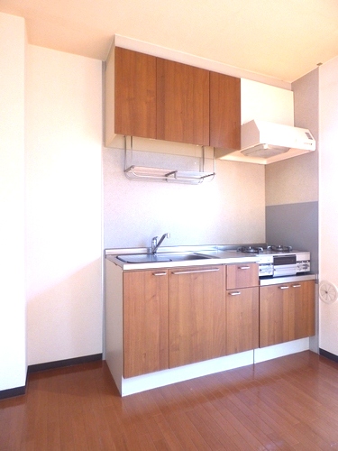 ヴィルドミール・S.S Ⅱ 101号-3