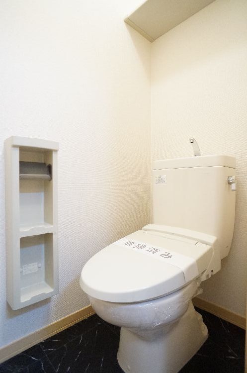 ステラ・ヒロ 102号-10