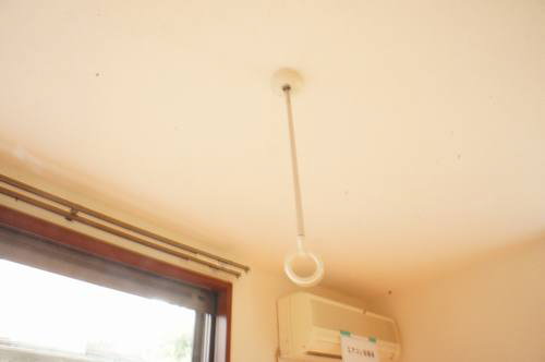 ピュアグリーン 102号-10