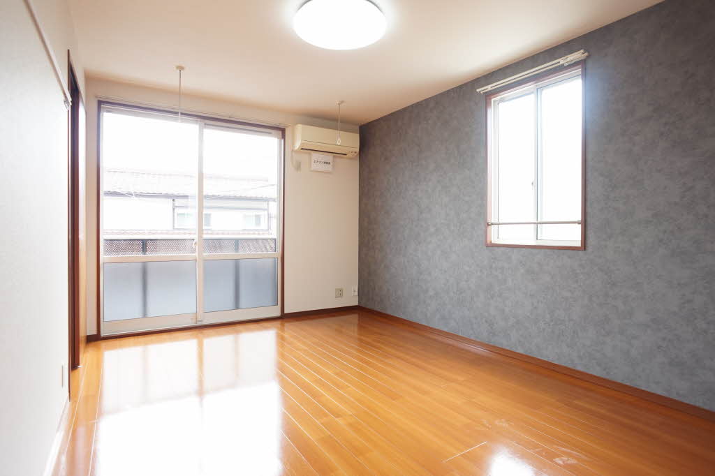 プランドゥール壱番館 205号-2