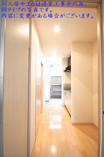 ＶＩＳＡＧＥ　１ 201号-7