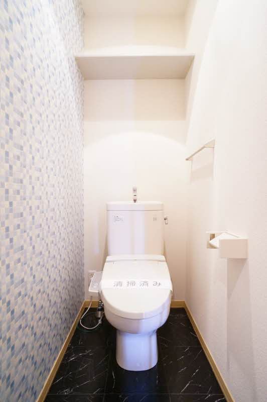 Ｂｅｌｌｅ　Ｓａｉｓｏｎ　Ａ 102号-11