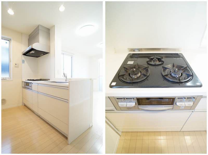 Ｒｉｃｈｅ　Ｖｅｌｔ 202号-4