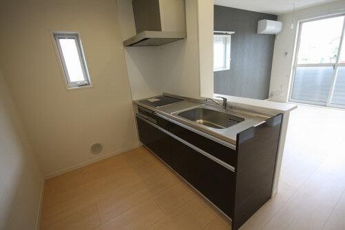 Sun Lavender 203号-6