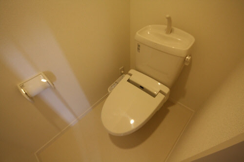 Sun Lavender 203号-10