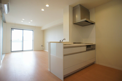 Prendre Ⅱ 301号-2