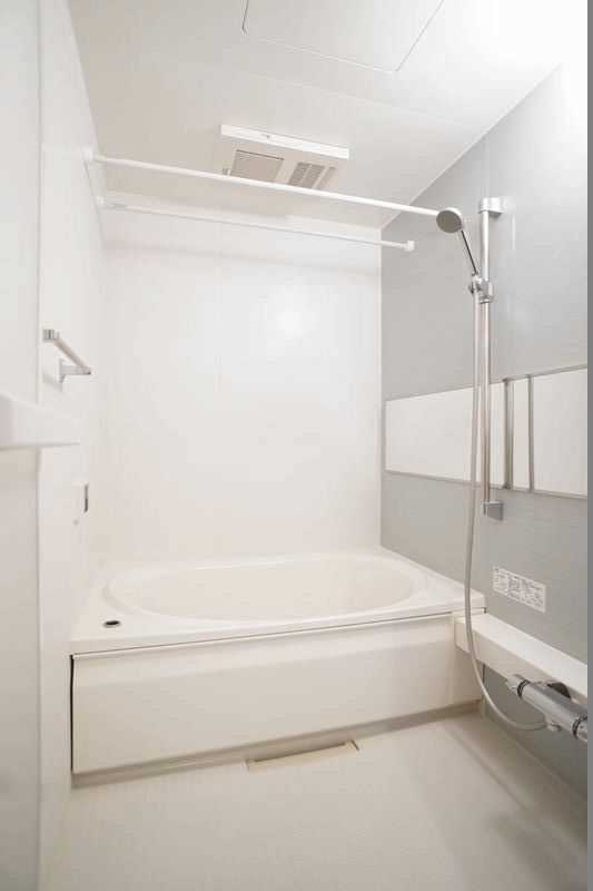 ブラウニー ロック 301号-9