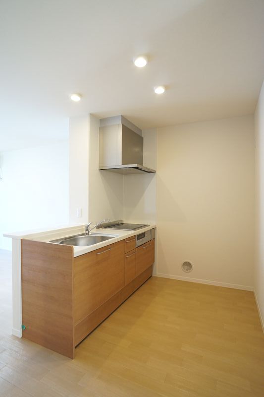 プルメリア 101号-3